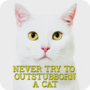 Pet Quotes Wallpaper! APK