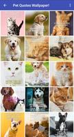 Pet Quotes Wallpaper! Cartaz