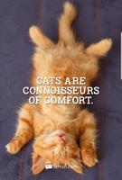 Pet Quotes Wallpaper! imagem de tela 1