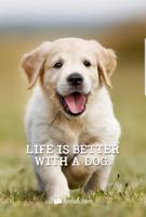 Pet Quotes Wallpaper! imagem de tela 2