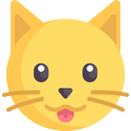 Photos and Videos of Cats