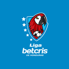 Liga Nacional de Fútbol de Hon আইকন