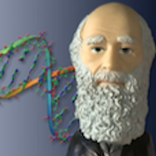 Genetics And Evolution