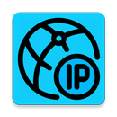 Local IP Address APK
