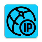 Local IP Address icono