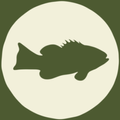 LocalCatch