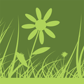 Green Square