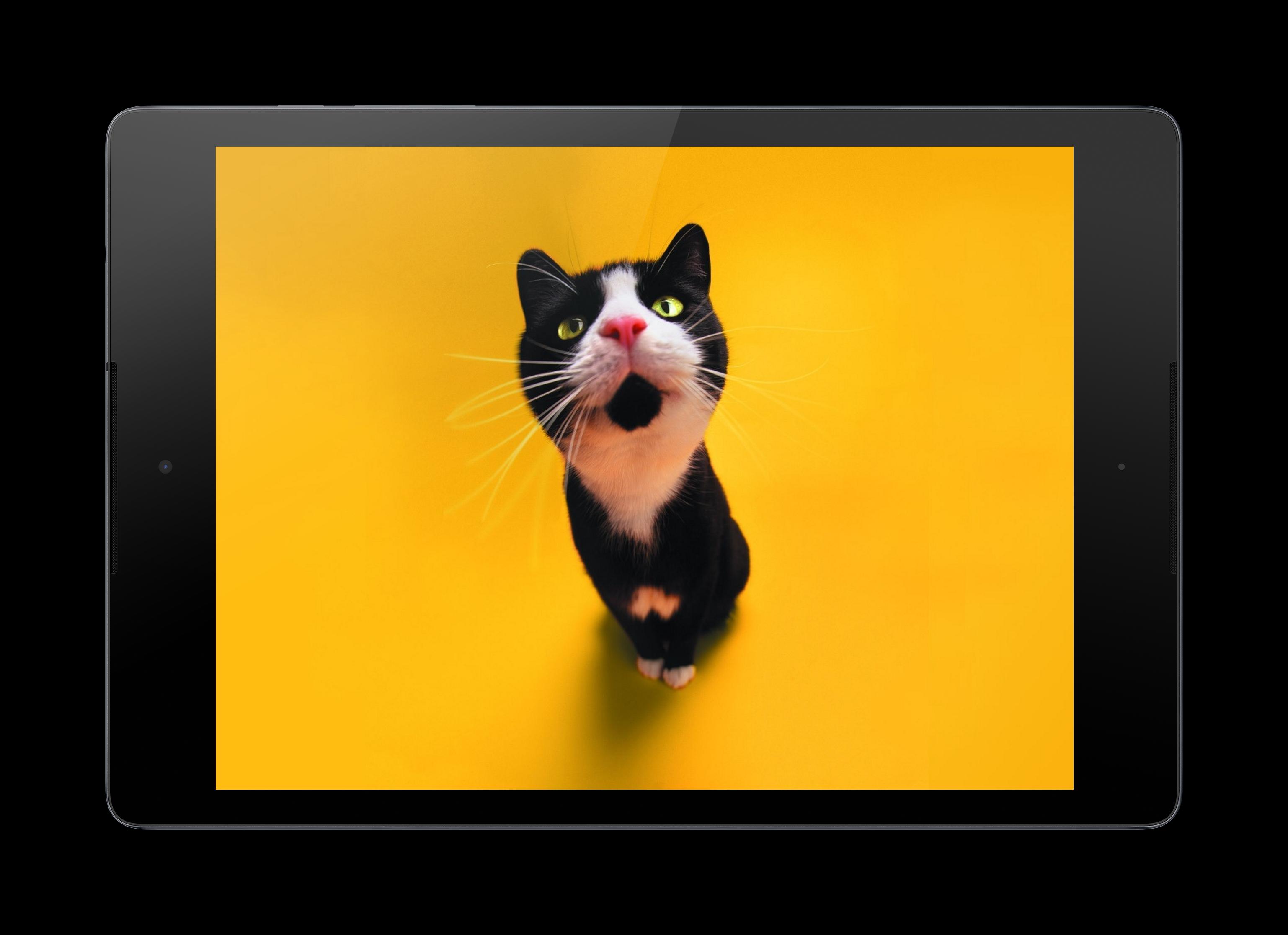 Yellow Cats Lock Screen For Android Apk Download - yellow cat ears roblox