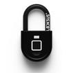 Locksus