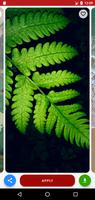 Lock Screen Wallpaper ภาพหน้าจอ 2
