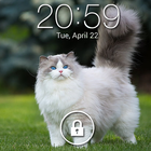 kedi pin kilit ekranı simgesi