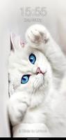 kedi pin kilit ekranı gönderen
