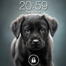 pantalla de bloqueo de perro APK