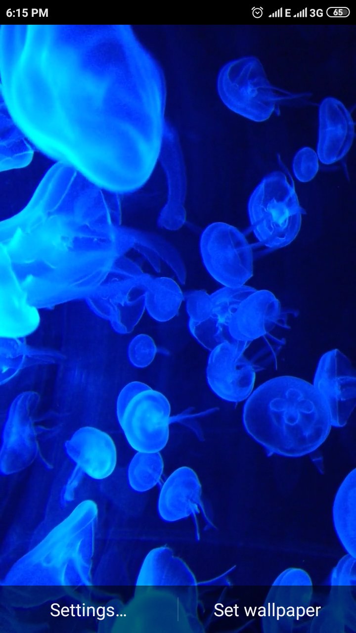 Descarga de APK de Jellyfish Live Wallpaper para Android
