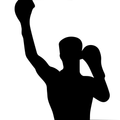 LockerRoom: Combat Sports news