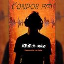 Cóndor FM 103.9 APK