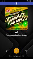Consagrados Tropicales poster