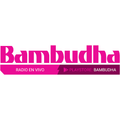 Bambudha