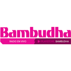 Bambudha آئیکن