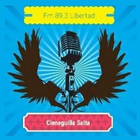 FM Libertad 89.3-icoon