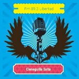 FM Libertad 89.3 آئیکن