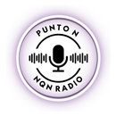 APK Punto N Radio