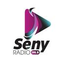 Seny Radio 99.9 APK