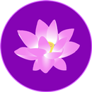 APK Law of Attraction Space
