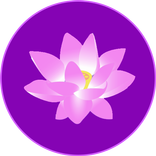 Law of Attraction Space