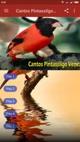 Cantos Pintassilgo Venezuela capture d'écran 2
