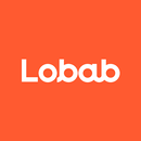 Lobab: Book Summaries, Library APK