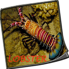 Budidaya Lobster Air Tawar icône