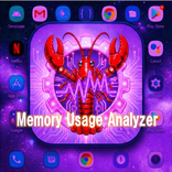Memory Usage Analyzer