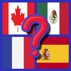Quiz flags-icoon