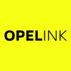 Opelink FR APK