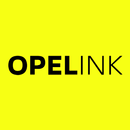 Opelink FR APK