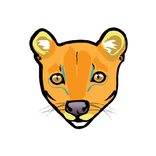 Fossa