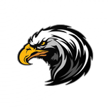Hawk icon