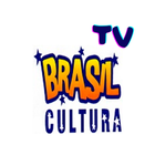 TV Brasil Cultura icône
