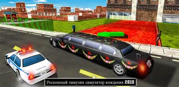 Big city limousine car simulat