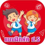 ”แบบฝึกหัด ป.5
