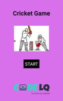 Cricket Game Affiche