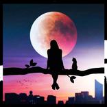 Sad Love Images - Miss You