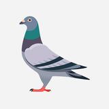 LoftMate: Pigeon Loft Manager APK