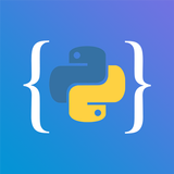 Python Programming ícone
