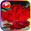 ملصقات ورود و أزهار متحركة APK