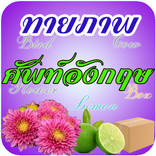 ทายภาพศัพท์อังกฤษ-English Word