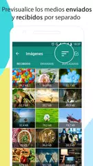 Descargar XAPK de Limpiador para WhatsApp