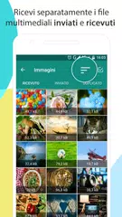 download Cleaner for WhatsApp XAPK