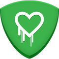 Heartbleed Sicurezza Scanner